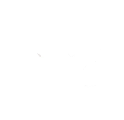 Revenite Boxing logo